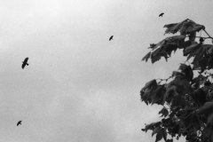 olympus, paris, říjen 2013