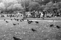 olympus, paris, říjen 2013