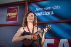 Marie Sommerová, písničkářka